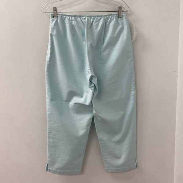 EILEEN FISHER WOMEN'S PANTS sky blue S