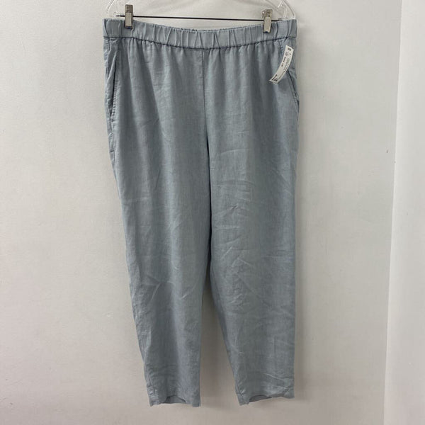 EILEEN FISHER WOMEN'S PANTS blue-grey LP