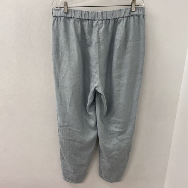 EILEEN FISHER WOMEN'S PANTS blue-grey LP
