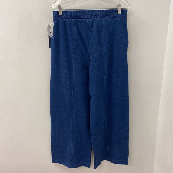 GAP WOMEN'S PANTS blue MP