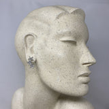 WOMEN'S EARRINGS clear