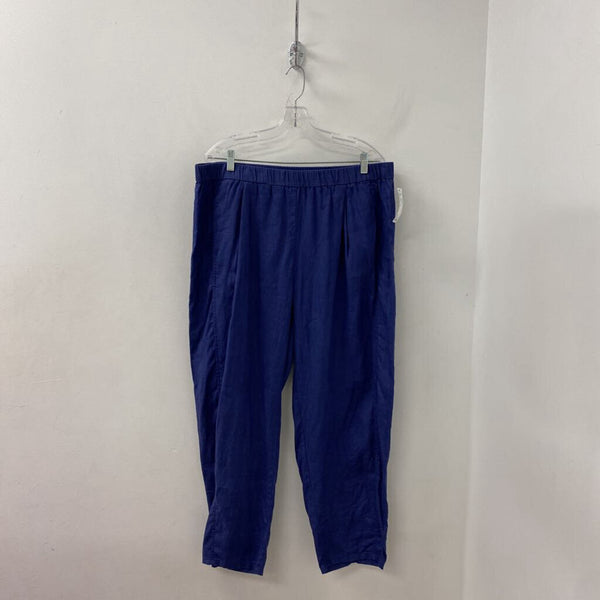 EILEEN FISHER WOMEN'S PANTS blue XL