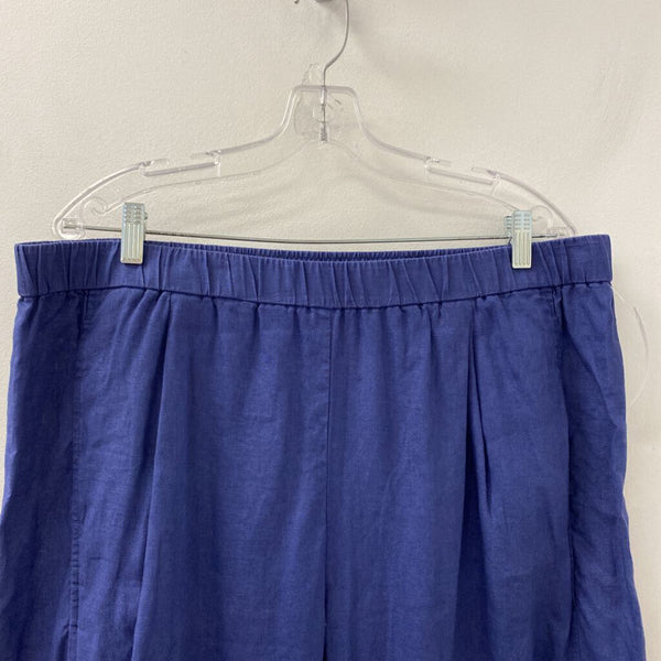 EILEEN FISHER WOMEN'S PANTS blue XL