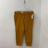 PILCRO WOMEN'S PLUS BOTTOM pumpkie pie 18W