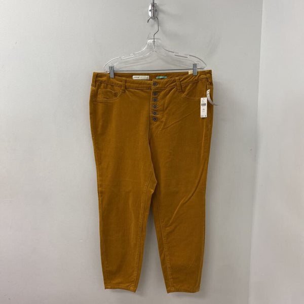 PILCRO WOMEN'S PLUS BOTTOM pumpkie pie 18W