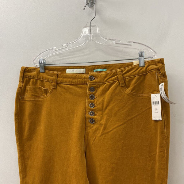 PILCRO WOMEN'S PLUS BOTTOM pumpkie pie 18W