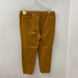 PILCRO WOMEN'S PLUS BOTTOM pumpkie pie 18W