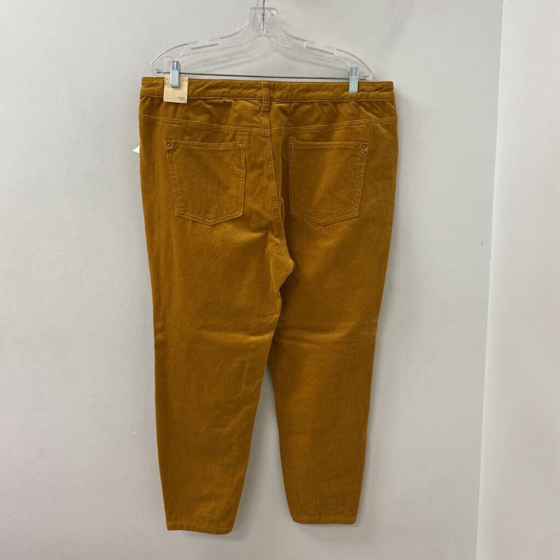 PILCRO WOMEN'S PLUS BOTTOM pumpkie pie 18W