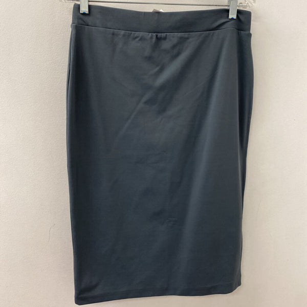 BABATON WOMEN'S SKIRT blue L