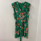 VINCE CAMUTO WOMEN'S PLUS DRESS green pink floral 18