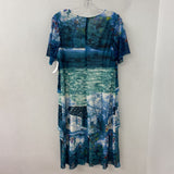 WOMEN'S DRESS multi XL