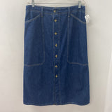 Massimo Dutti WOMEN'S SKIRT blue 12