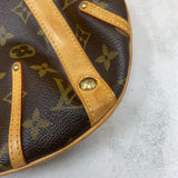 LOUIS VUITTON WOMEN'S BAG browns